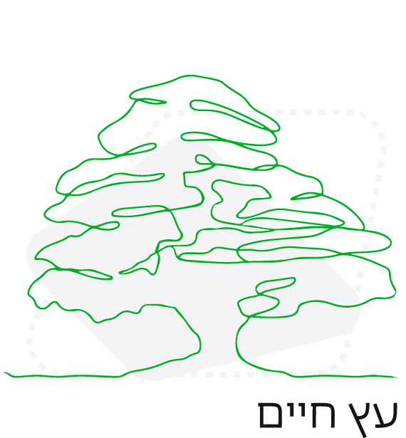 etzchaim STRATEGY oferece opções de serviços
																						   